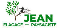 elagage-jean-elagueur-paysagiste